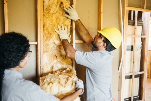 Eco-Friendly or Green Insulation Solutions in Florala, AL